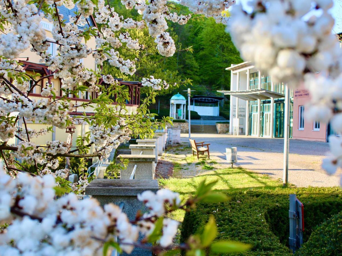 Pension Kurhausblick Bad Suderode Exterior foto